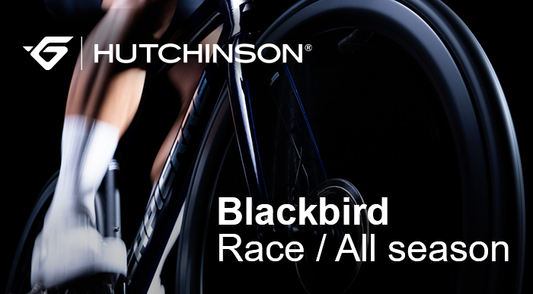 HUTCHINSON | Blackbird Race - BlackBird All Season