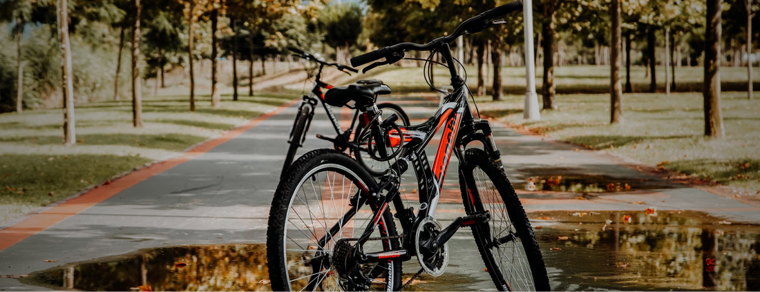 ¿Qué lubricante usar en otoño? Diferencias entre lubricantes secos y húmedos