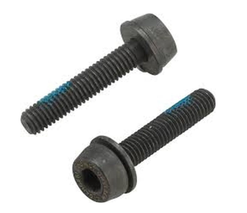 CAMPAGNOLO | 2 Tornillos Montaje Pinza de Freno 24mm