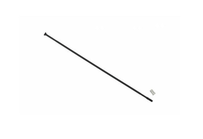CAMPAGNOLO | Radio Delantero/Trasero Derecho Eurus 279.2mm