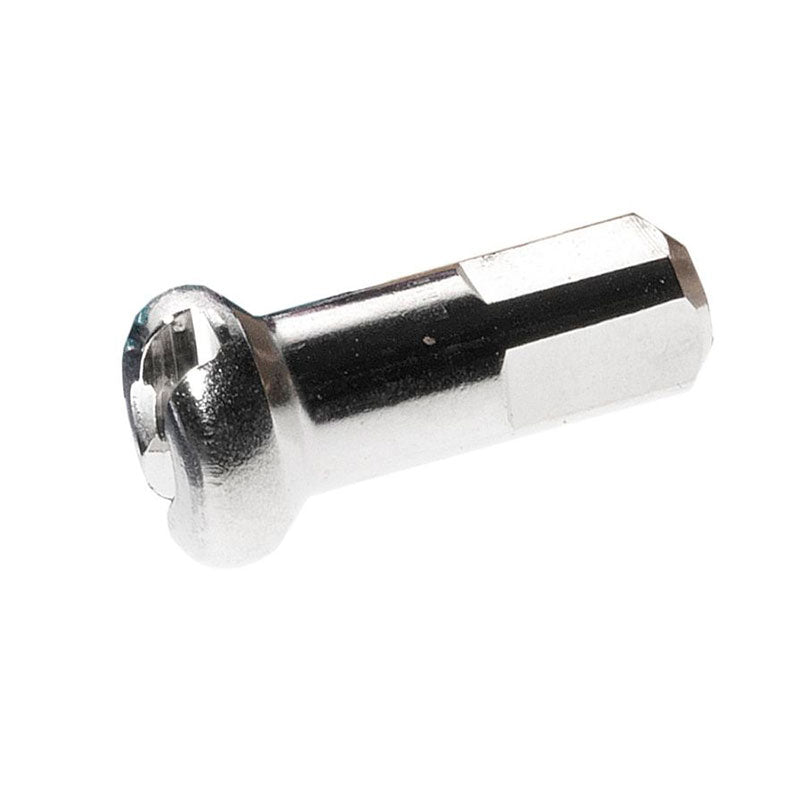 DT SWISS | 100 Cabecillas Radios Prohead Latón Plata 2x14mm
