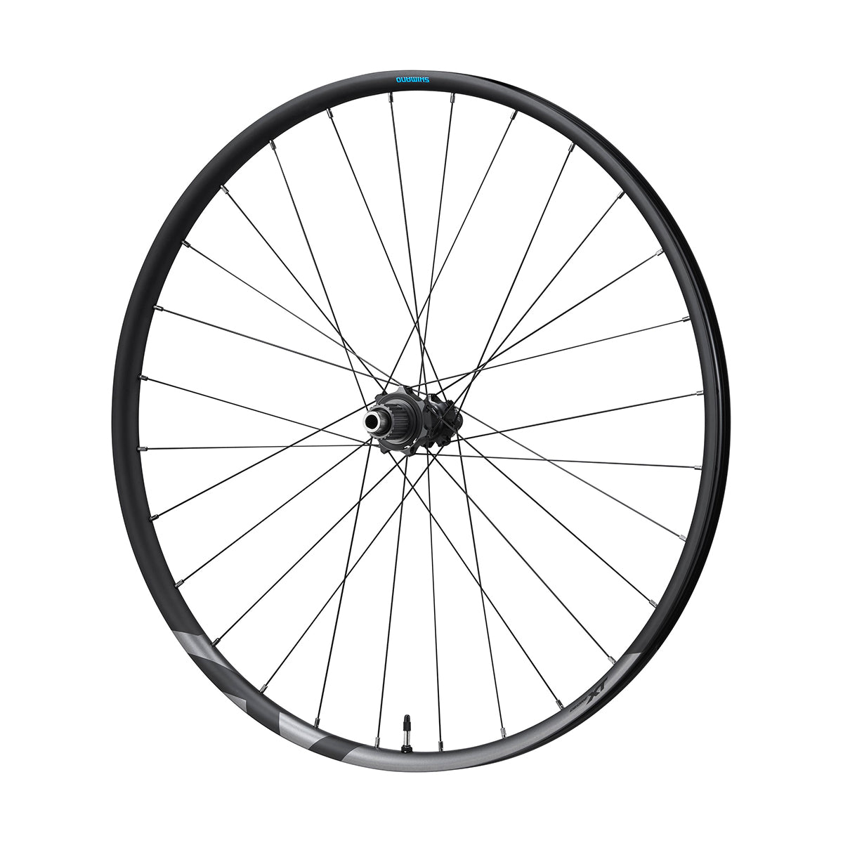 SHIMANO | Rueda 29" DEORE XT M8100
