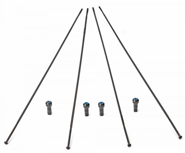 CAMPAGNOLO | 4 Radios Trasero Izquierdo Bora 35