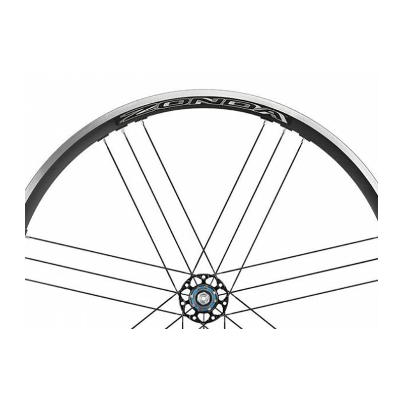 CAMPAGNOLO | 4 Radios Trasero Izquierdo Zonda Disco
