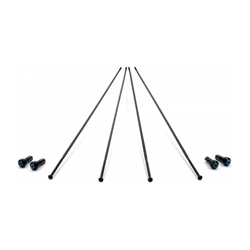 CAMPAGNOLO | 4 Radios Delantero Izquierdo/Trasero Derecho Bora 50 Disco