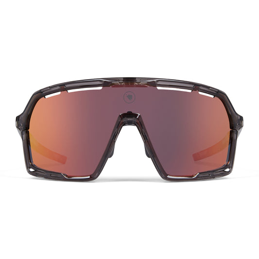 ENDURA | Gafas PRO SL gris-gris